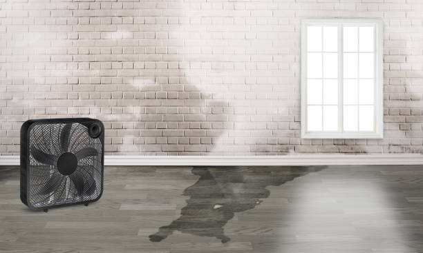 Carpet water damage restoration in South Creek, WA