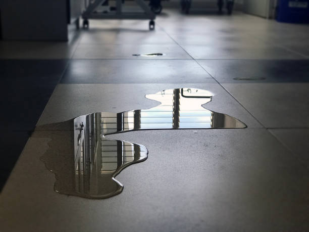 Best Commercial water damage restoration  in South Creek, WA