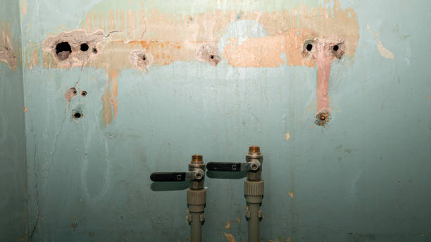 Best Water damage restoration experts  in South Creek, WA