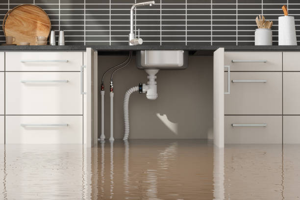 South Creek, WA Water damage restoration Company